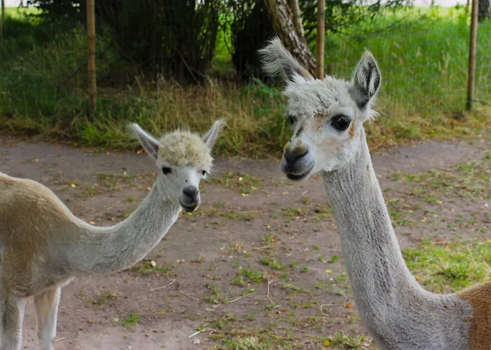 Van der Valk Hotel Apeldoorn